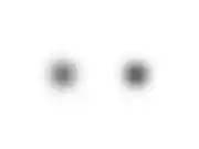 Feedback Loops, blurred preview